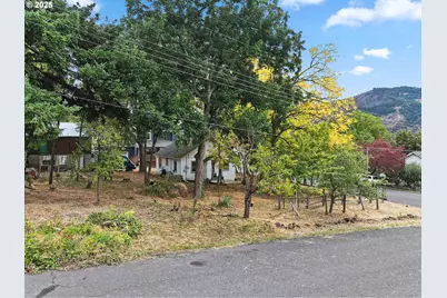 E Franklin St, Bingen, WA 98605 - Photo 6