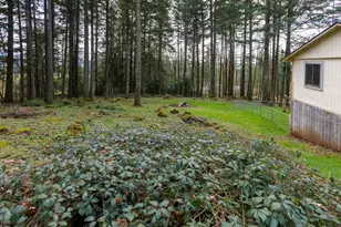 30744 NE 10th St, Washougal, WA 98671 - Photo 28