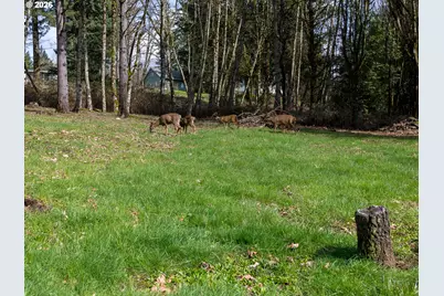 30744 NE 10th St, Washougal, WA 98671 - Photo 24