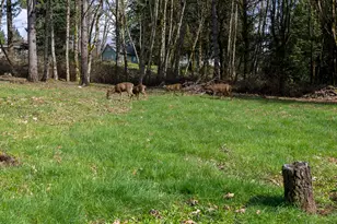 30744 NE 10th St, Washougal, WA 98671 - Photo 26
