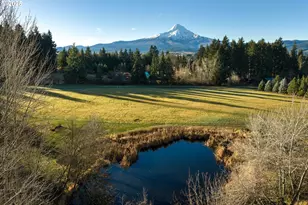 6485 Hwy 35, Mt Hood Prkdl, OR 97041 - Photo 44