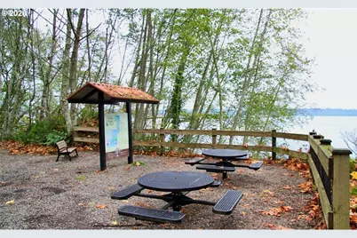 8427 NE Orcas Loop, Olympia, WA 98516 - Photo 34