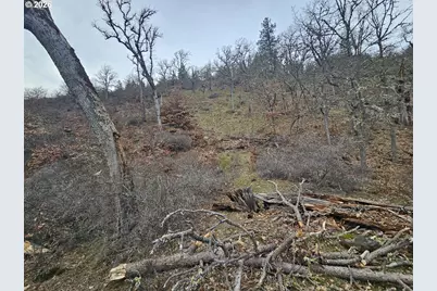 Wahkiacus Heights Rd #LOT 1, Klickitat, WA 98628 - Photo 20