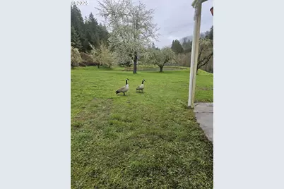 467 Slide Creek Rd, Myrtle Creek, OR 97457 - Photo 42