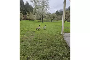 467 Slide Creek Rd, Myrtle Creek, OR 97457 - Photo 42