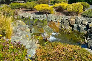 98126 W Benham Ln, Brookings, OR 97415 - Photo 36