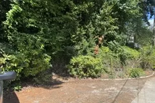 2656 SW Gerald Ave, Portland, OR 97201 - Photo 34