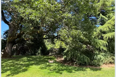 17236 NW Lucy Reeder Rd, Portland, OR 97231 - Photo 34