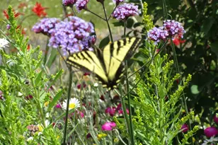 90834 Coburghills Dr, Eugene, OR 97408 - Photo 32