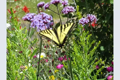 90834 Coburghills Dr, Eugene, OR 97408 - Photo 30