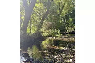 566 N Bear Creek Rd, Otis, OR 97368 - Photo 40