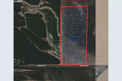 0 Morgan Dr, Shedd, OR 97377 - Photo 6