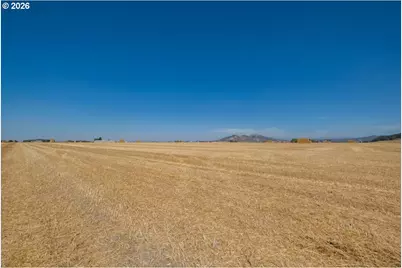 0 Morgan Dr, Shedd, OR 97377 - Photo 14