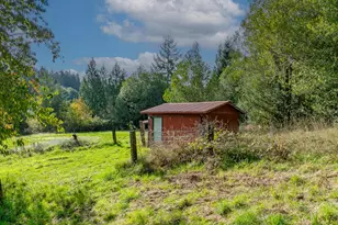 53874 Fishtrap Rd, Myrtle Point, OR 97458 - Photo 6