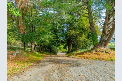 53874 Fishtrap Rd, Myrtle Point, OR 97458 - Photo 48