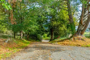 53874 Fishtrap Rd, Myrtle Point, OR 97458 - Photo 48