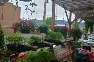 206 S Main St, Union, OR 97883 - Photo 18
