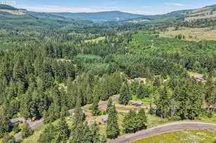104 S Goble Creek Rd, Kelso, WA 98626 - Photo 46