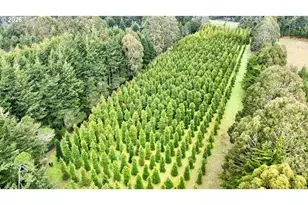 86764 Sydnam Ln, Bandon, OR 97411 - Photo 42