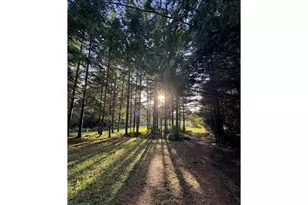 86764 Sydnam Ln, Bandon, OR 97411 - Photo 46