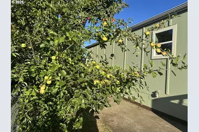 1085 W 1st Ave #8, Junction City, OR 97448 - Photo 18