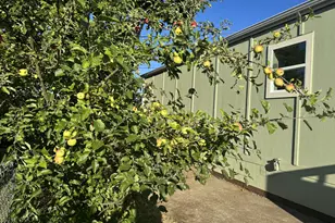 1085 W 1st Ave, Junction City, OR 97448 - Photo 18