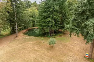 295 Casey Rd, Castle Rock, WA 98611 - Photo 40