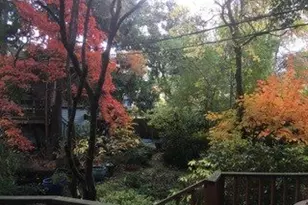 902 NE Thompson St, Portland, OR 97212 - Photo 42