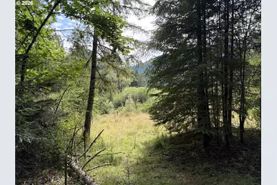 9006 Scotts Valley Rd, Yoncalla, OR 97499 - Photo 40
