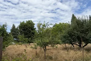 9006 Scotts Valley Rd, Yoncalla, OR 97499 - Photo 34