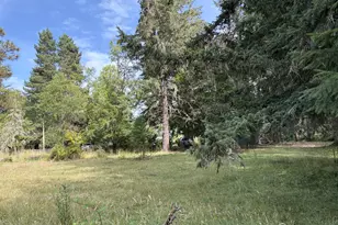 9006 Scotts Valley Rd, Yoncalla, OR 97499 - Photo 42