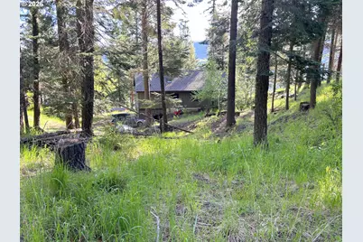 61038 Lake Shore Rd, Wallowa Lake, OR 97846 - Photo 22