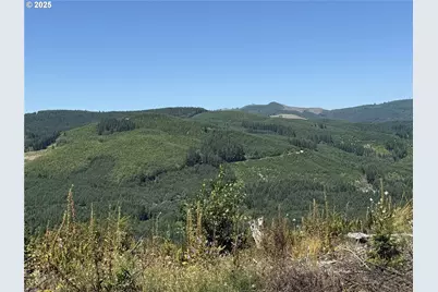3725 Little Kalama River Rd, Woodland, WA 98674 - Photo 1
