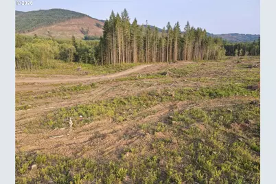3725 Little Kalama River Rd, Woodland, WA 98674 - Photo 34