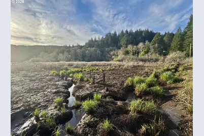 60958 Old Wagon Rd, Coos Bay, OR 97420 - Photo 48