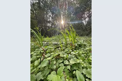 60958 Old Wagon Rd, Coos Bay, OR 97420 - Photo 36