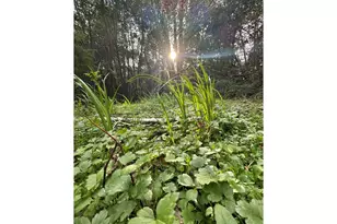 60958 Old Wagon Rd, Coos Bay, OR 97420 - Photo 36