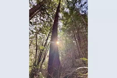 60958 Old Wagon Rd, Coos Bay, OR 97420 - Photo 38