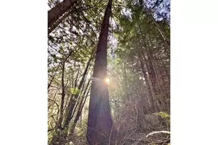 60958 Old Wagon Rd, Coos Bay, OR 97420 - Photo 38