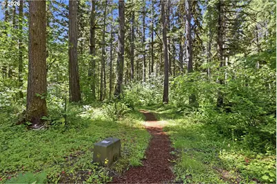 55406 Delta Rd, Blue River, OR 97413 - Photo 36