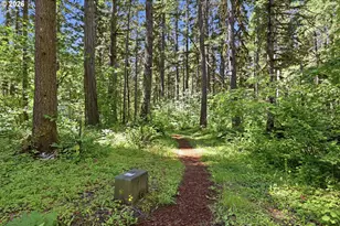 55406 Delta Rd, Blue River, OR 97413 - Photo 36