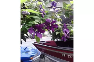 3564 E 2nd St, The Dalles, OR 97058 - Photo 14