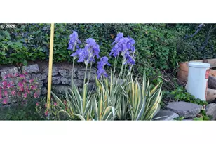 3564 E 2nd St, The Dalles, OR 97058 - Photo 18