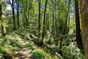 2210 SW Broadway Dr, Portland, OR 97201 - Photo 40