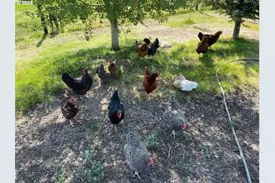 87479 N Star Ln, Christmas Valley, OR 97641 - Photo 28