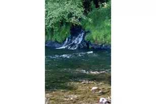 22600 Blaine Rd, Beaver, OR 97108 - Photo 10