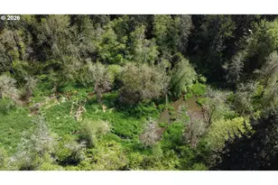 31080 SW Firdale Rd, Cornelius, OR 97113 - Photo 34