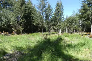 47615 Oregon Coast Hwy, Bandon, OR 97411 - Photo 38