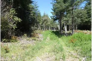 47615 Oregon Coast Hwy, Bandon, OR 97411 - Photo 34