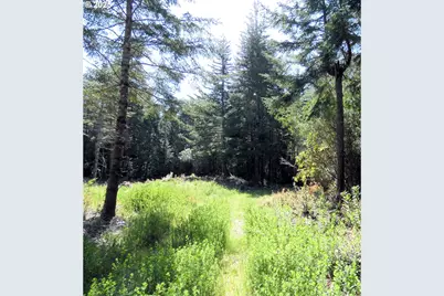 47615 Oregon Coast Hwy, Bandon, OR 97411 - Photo 36